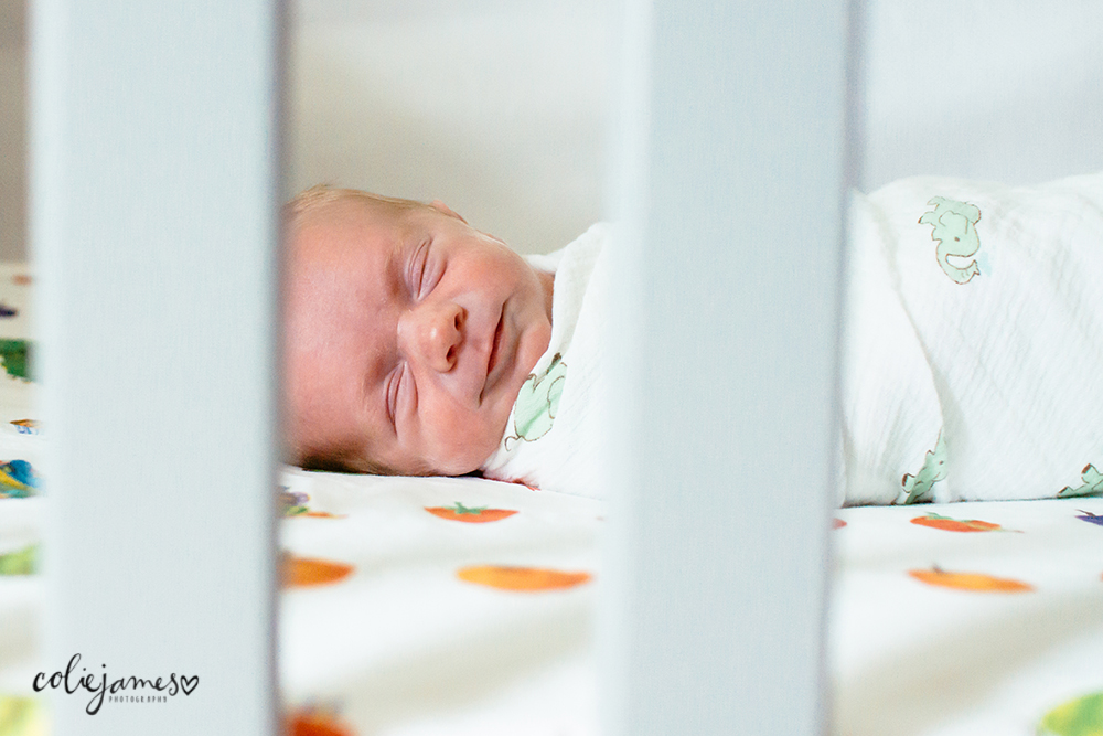 denver newborn photography colie james bringing home baby preview
