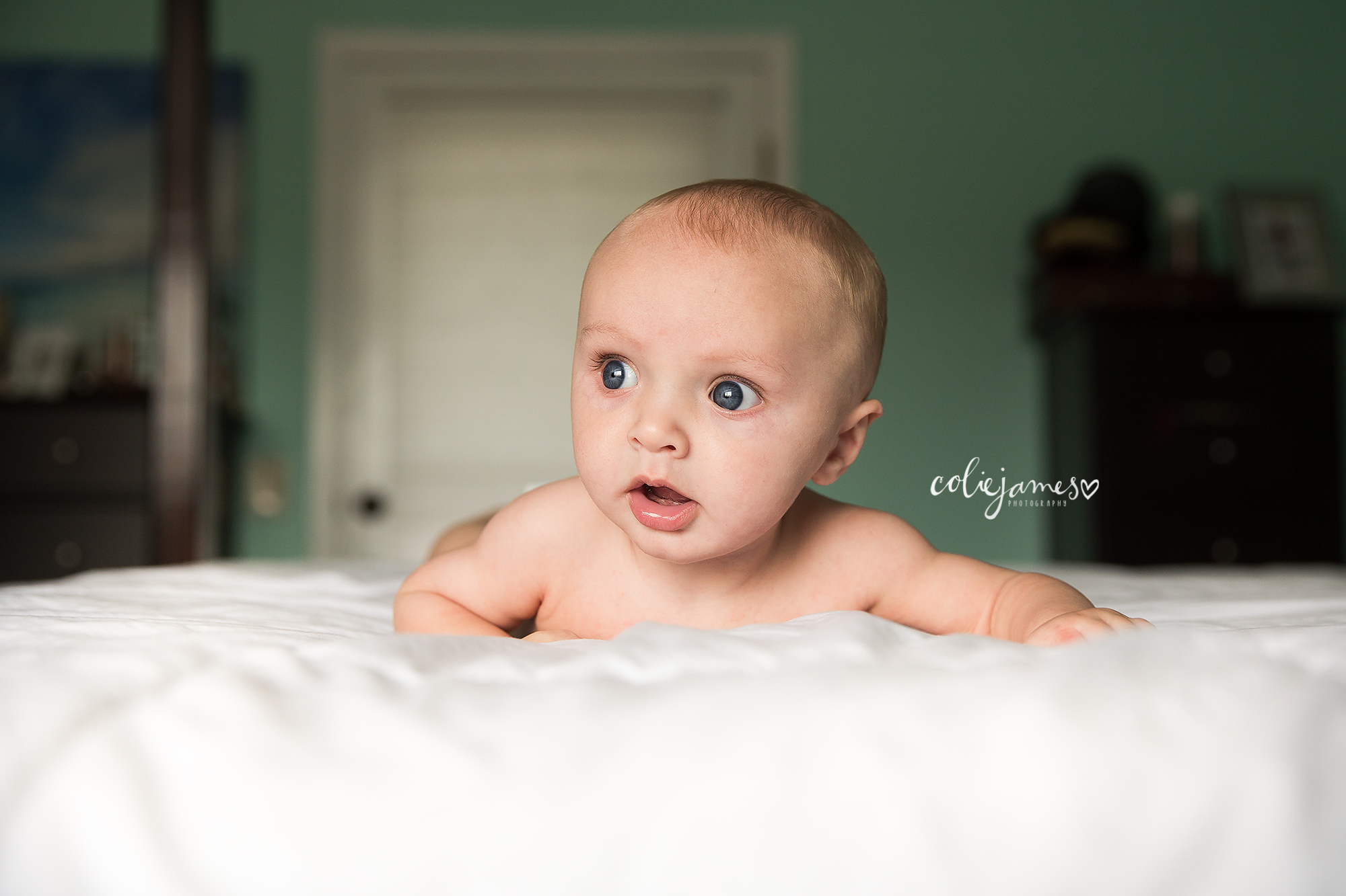 boulder baby photography colie james