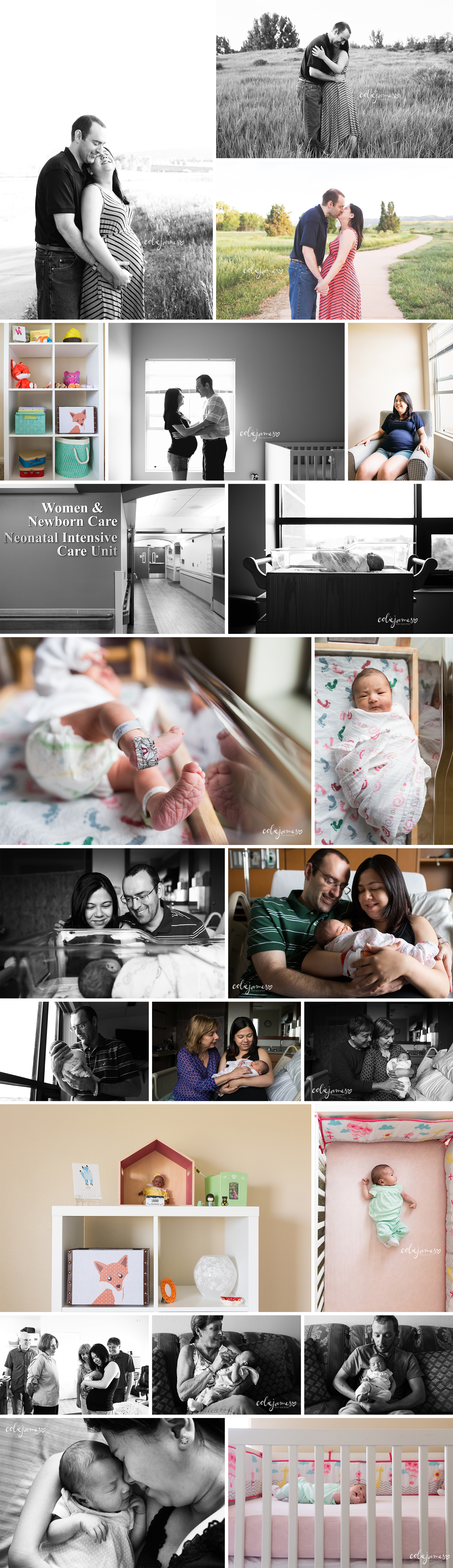 denver newborn photography life in the 1st year colie james laura