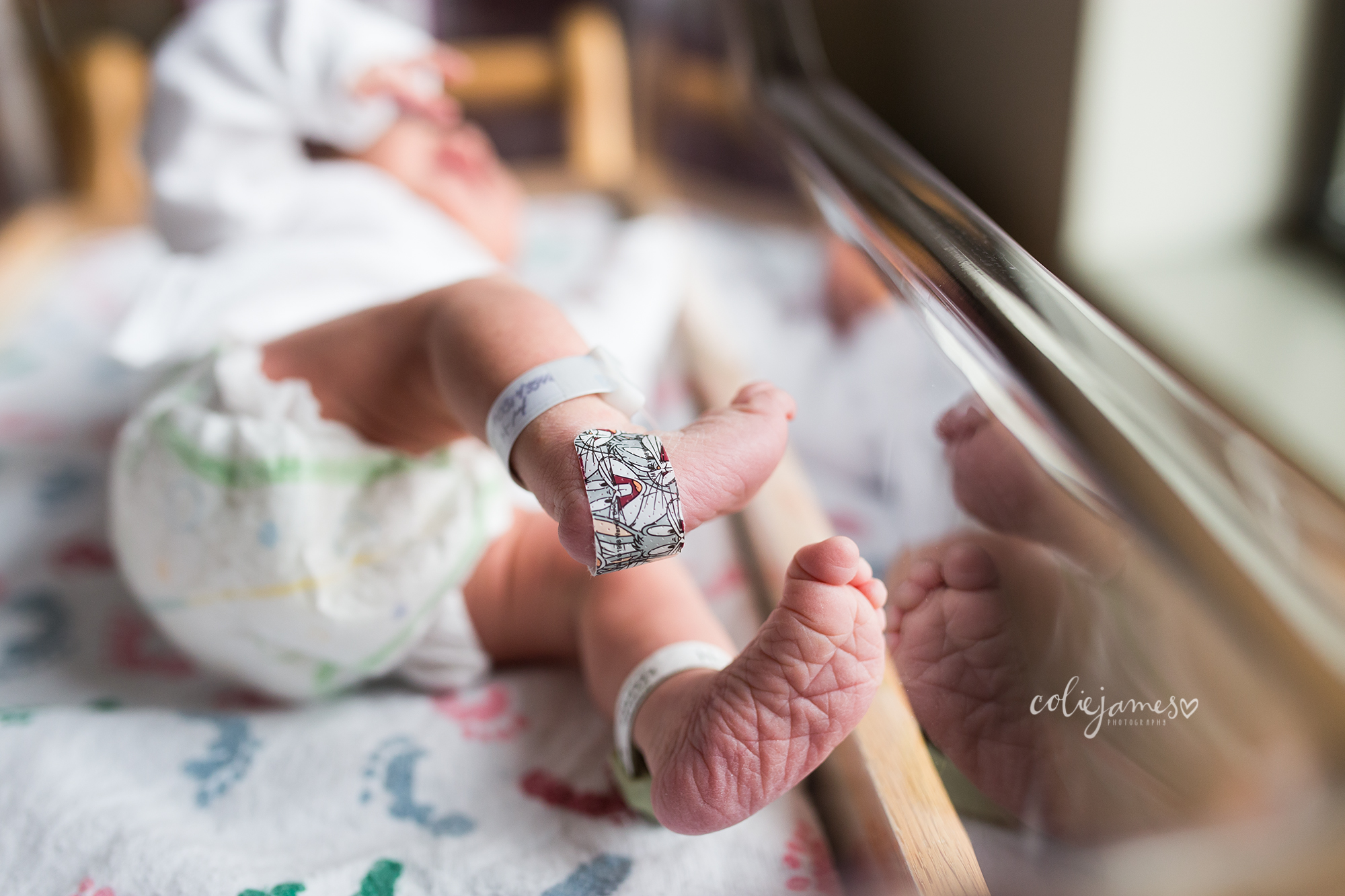 littleton newborn photography colie james visiting hours only laura
