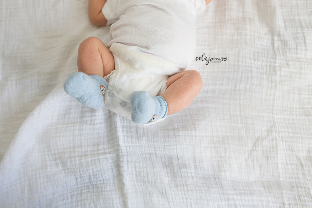 denver newborn photography meet everett