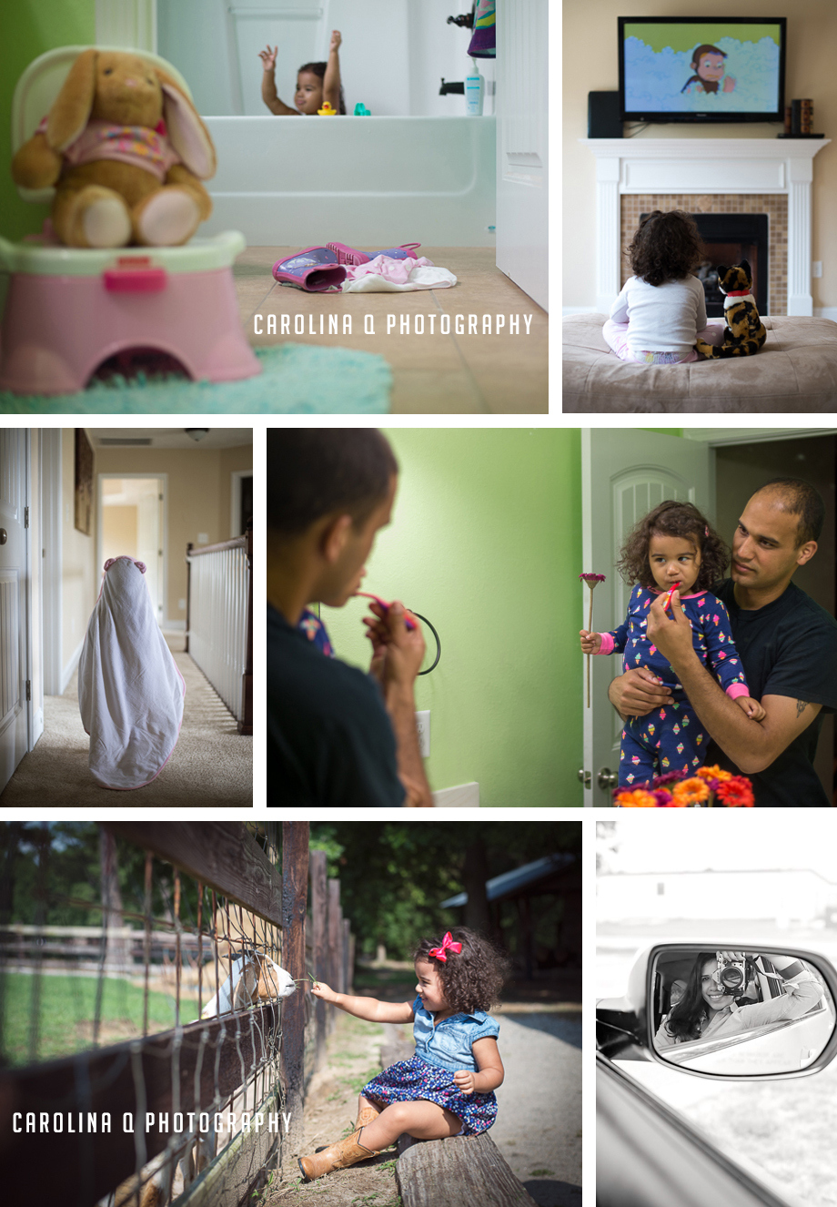 carolina q photography business of telling stories review