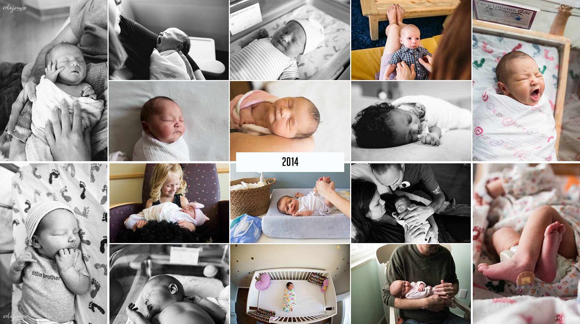 colie james photography newborns 2014