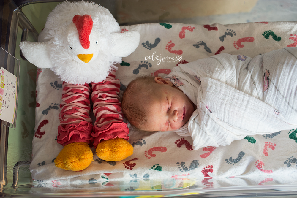 documentary newborn photographer miss h and her chicken