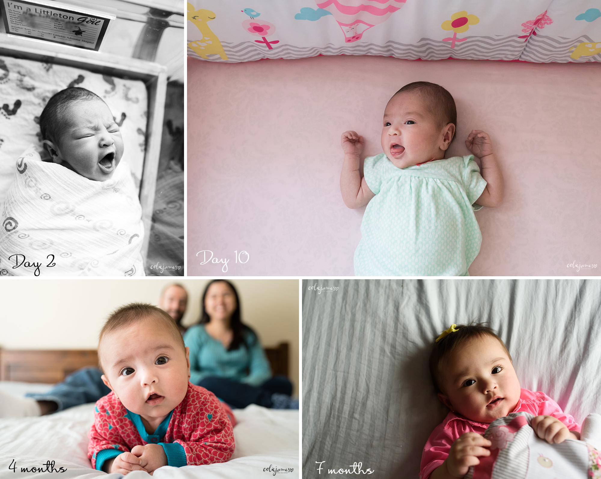 littleton baby photography Laura 7 months Watch Her Grow