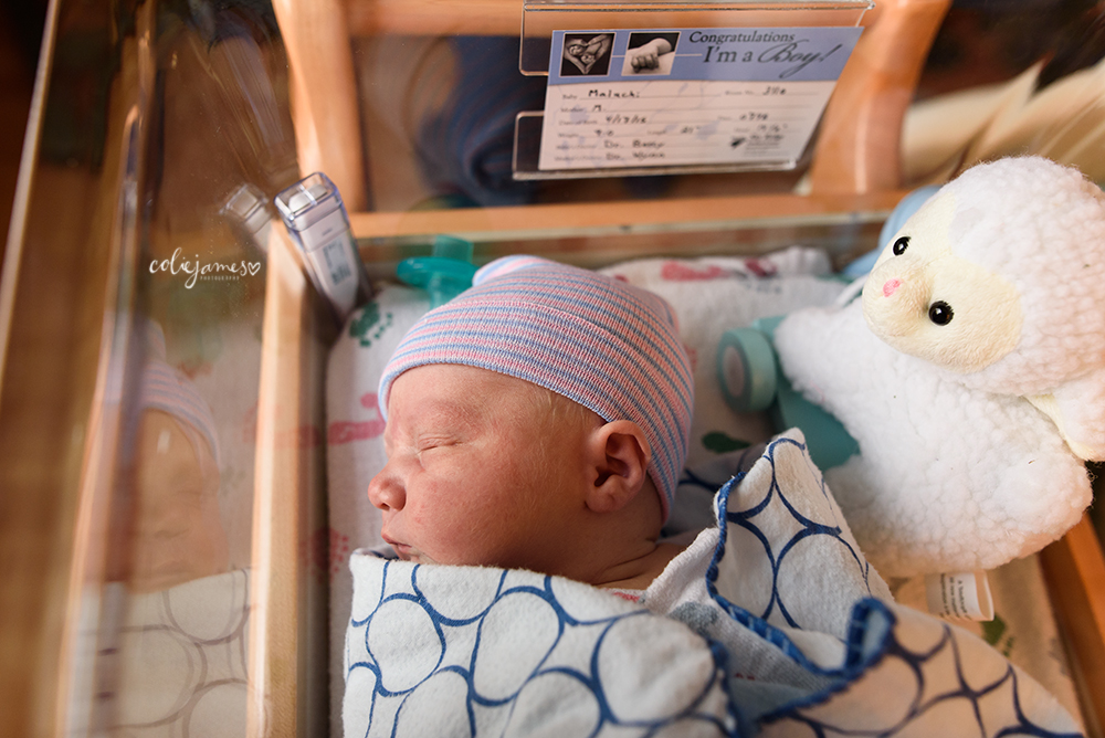 denver newborn photographer cyrus and lambie