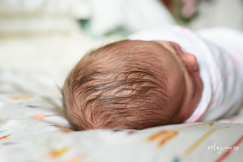 boulder newborn photographer baby hair