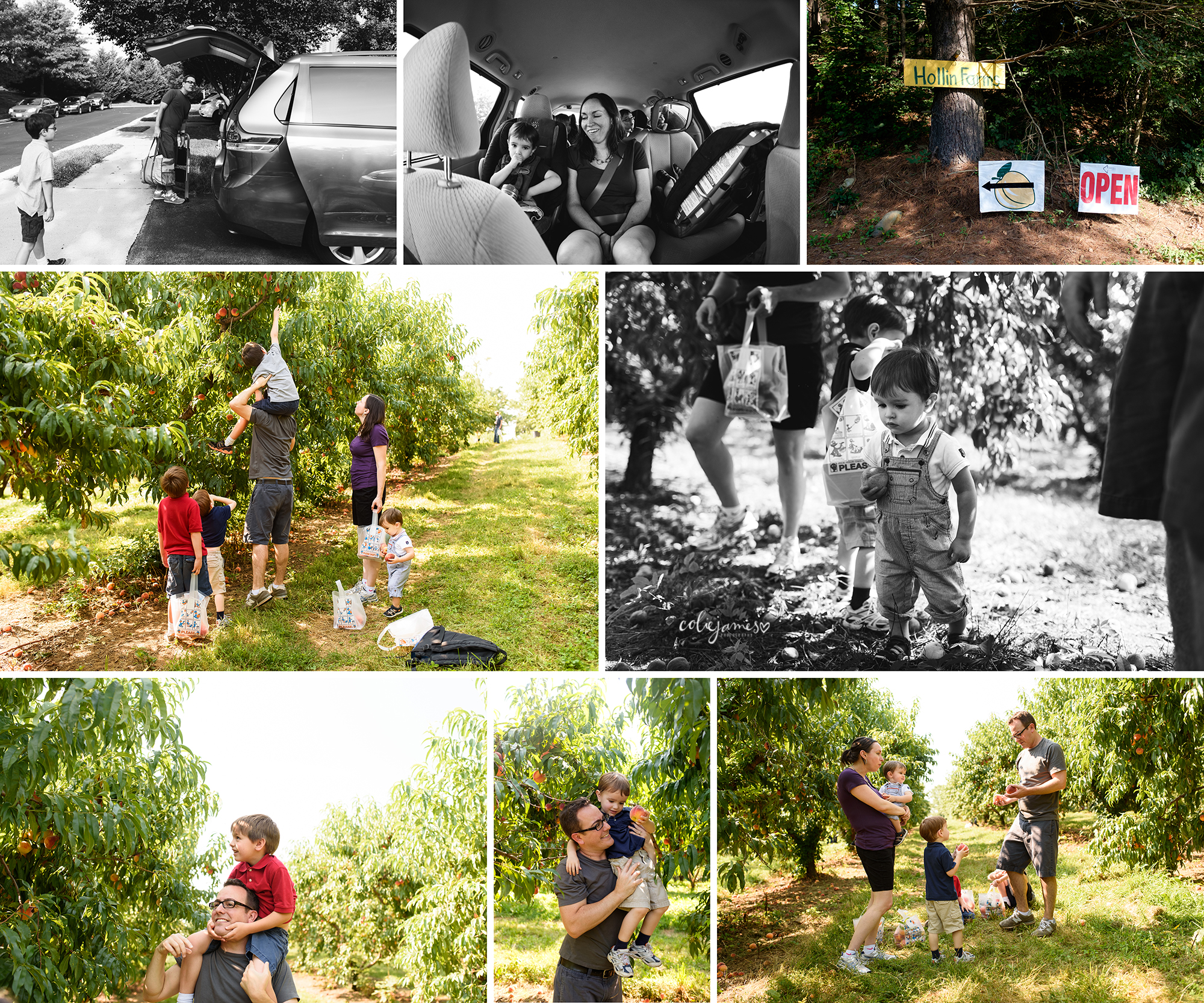 documentary family photography picking peaches coliejamesphotography.com