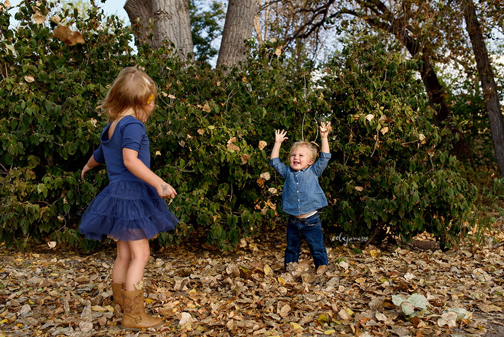 Denver Family Photography 18 months 11
