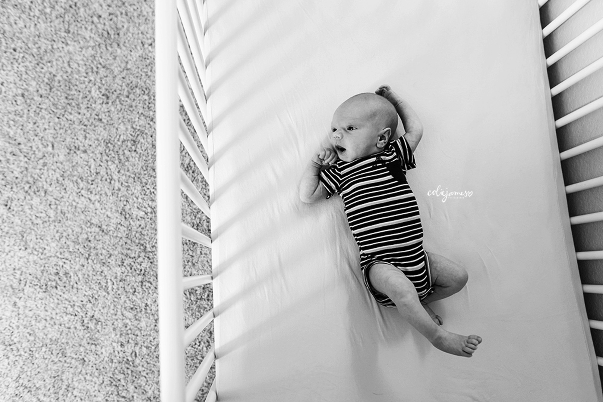 stapleton newborn photography meet caleb 06