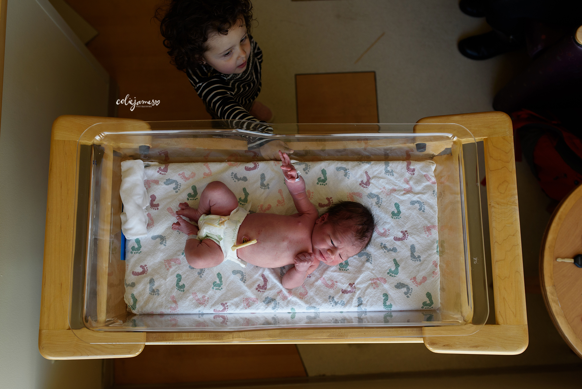 newborn photography lafayette colorado colie james 10