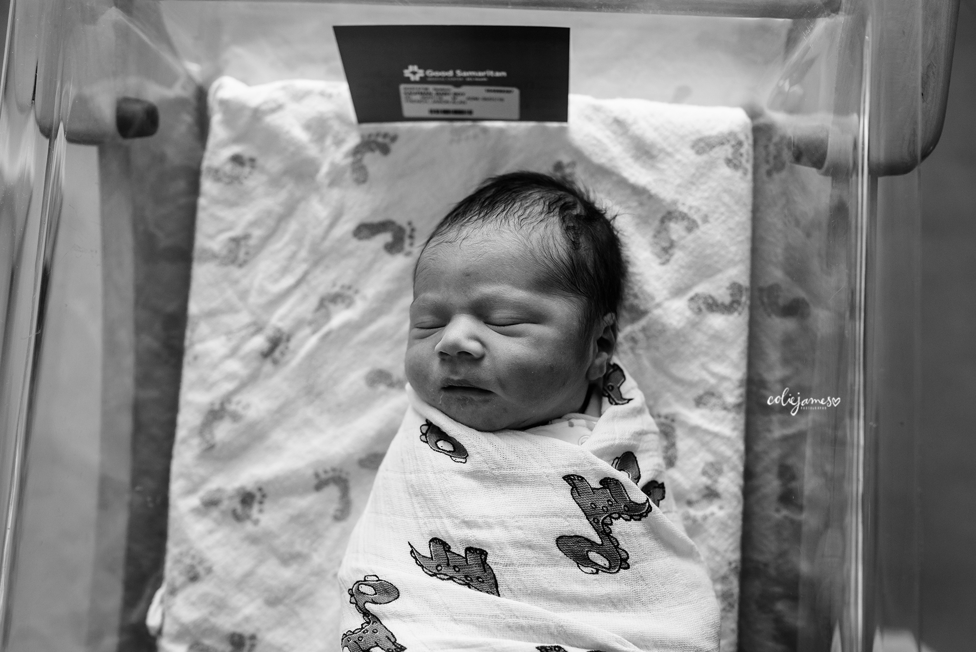 newborn photography lafayette colorado colie james 12