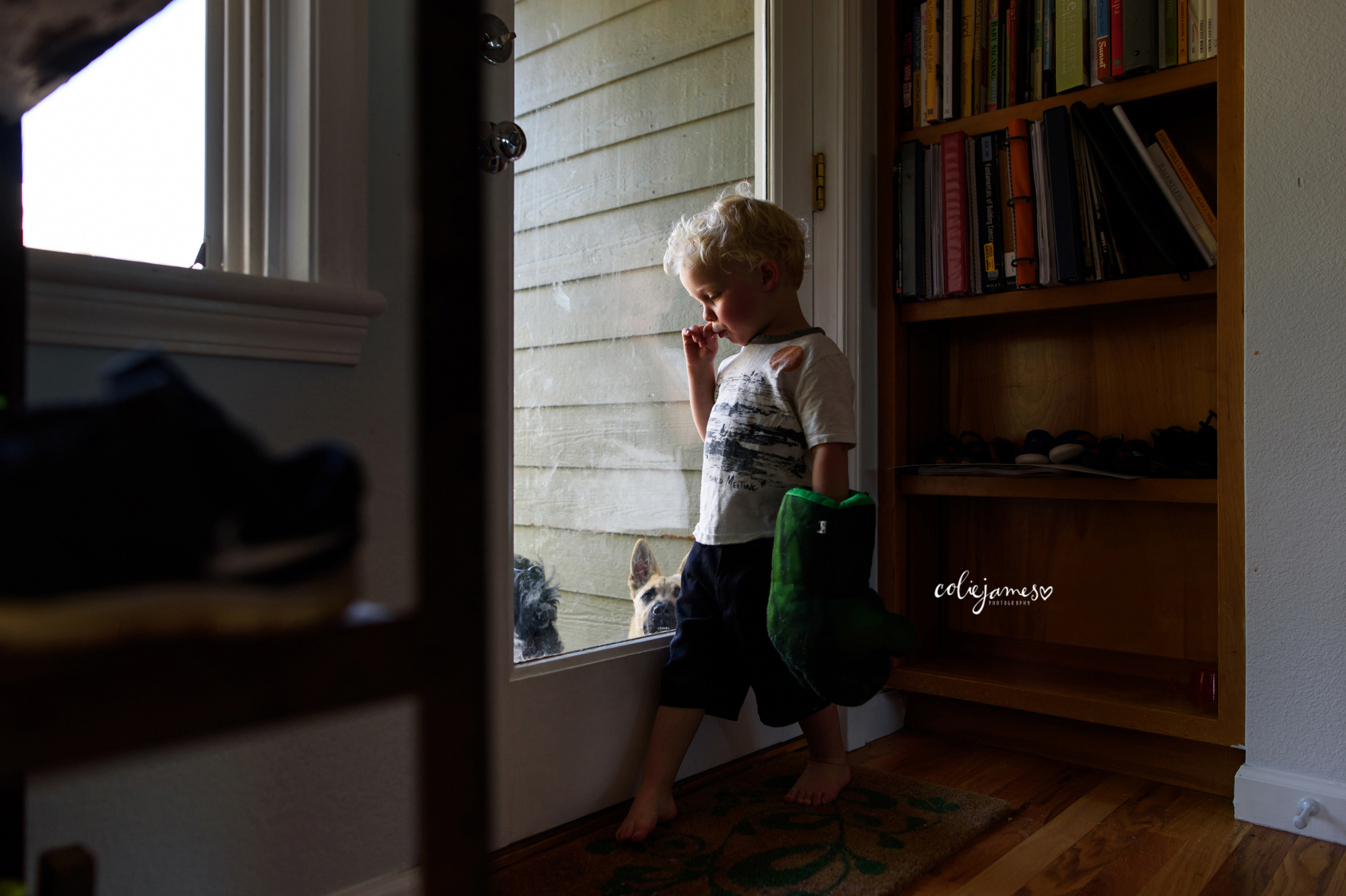 boulder family photography at home session colie james hulk
