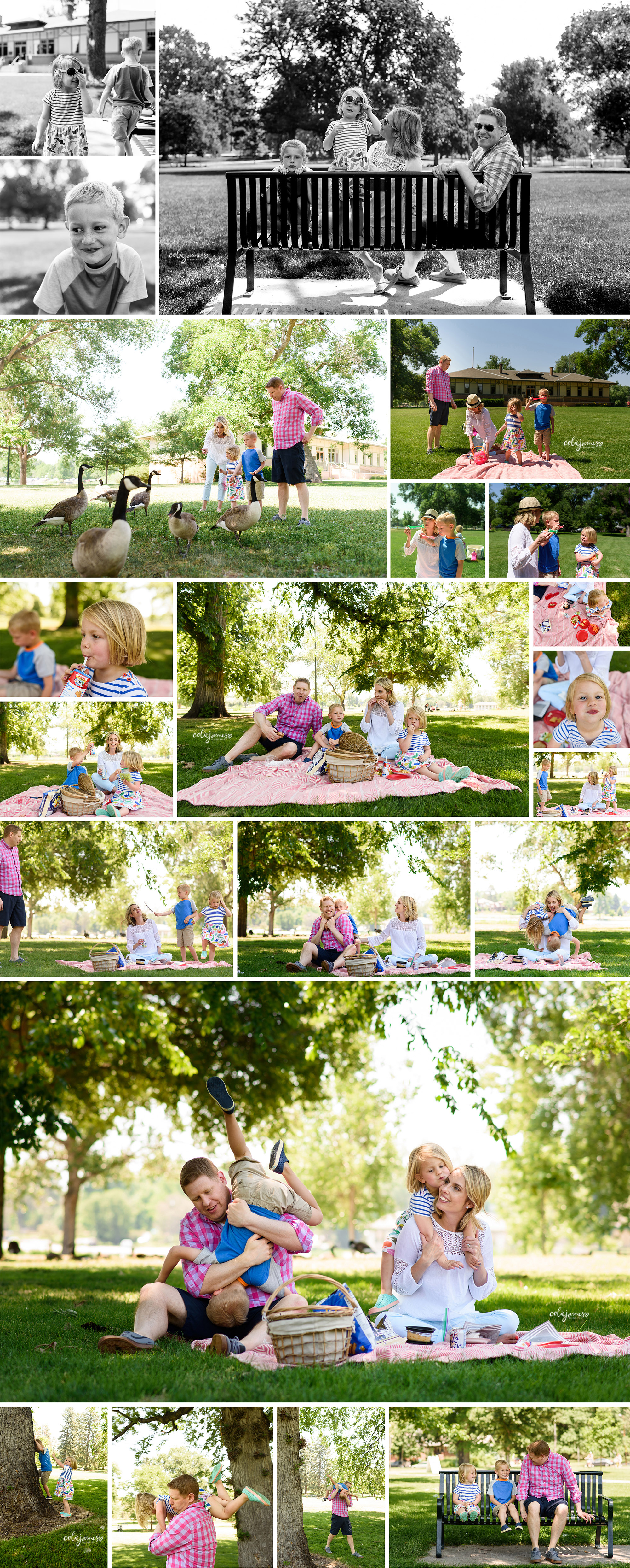 denver family lifestyle photography colie james washington park summer fun blog