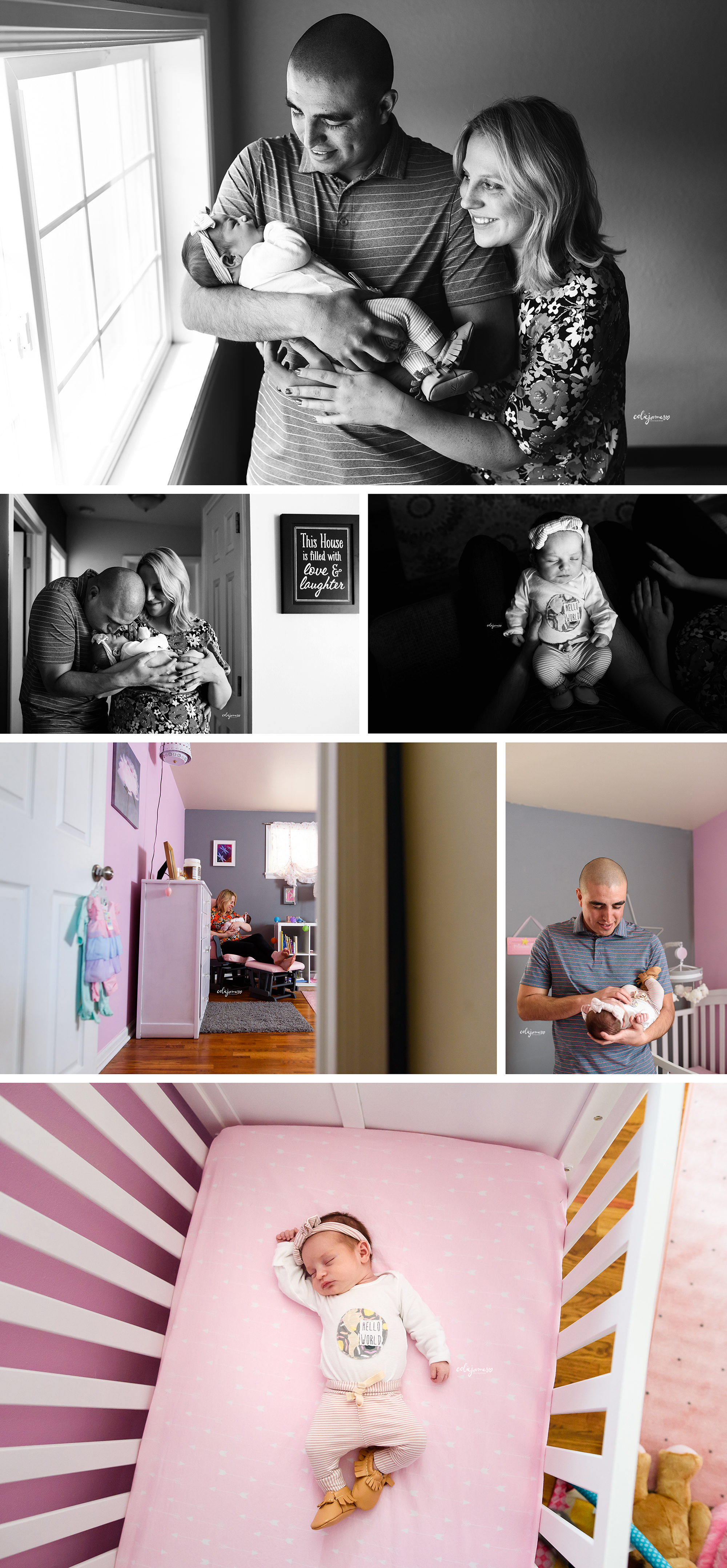 denver newborn photography in-home sessions 