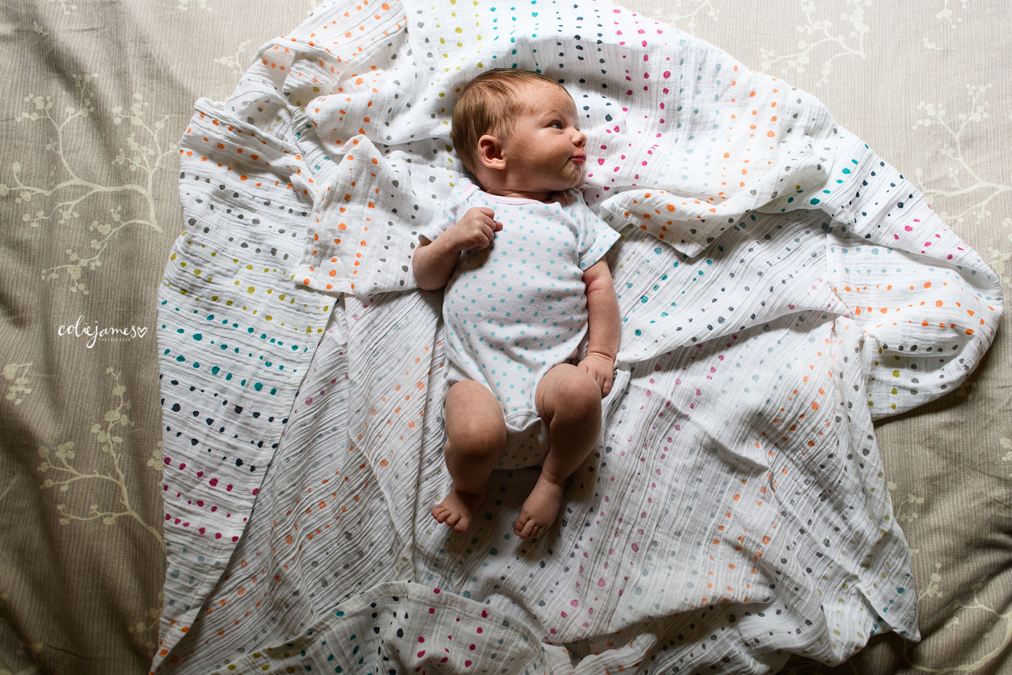 denver in-home newborn photography meet sadie
